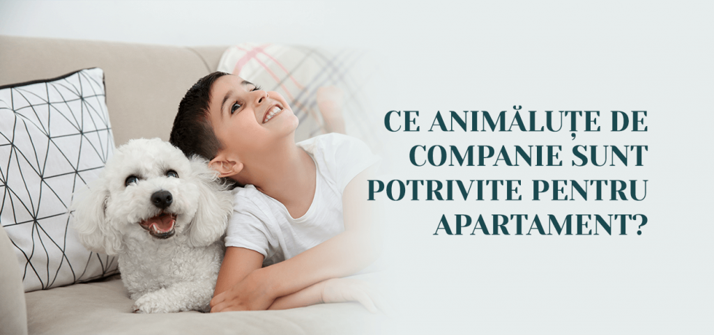 Ce animalute de companie sunt potrivite pentru apartament?