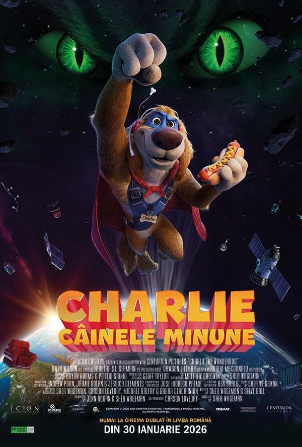 Charlie, cainele minune