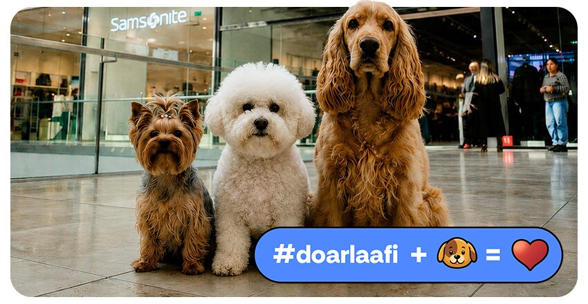 Suntem pet friendly!