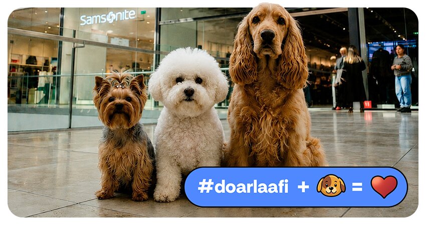Suntem pet friendly!