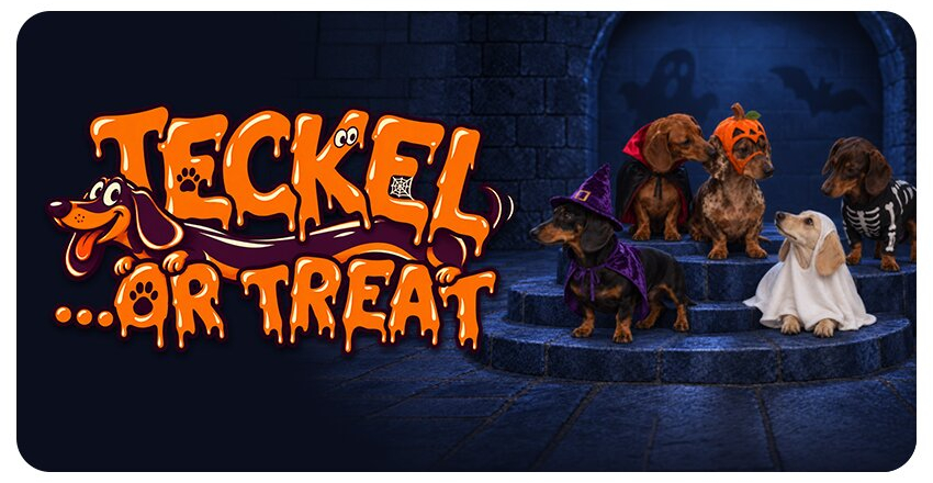 Halloween Teckel Parade